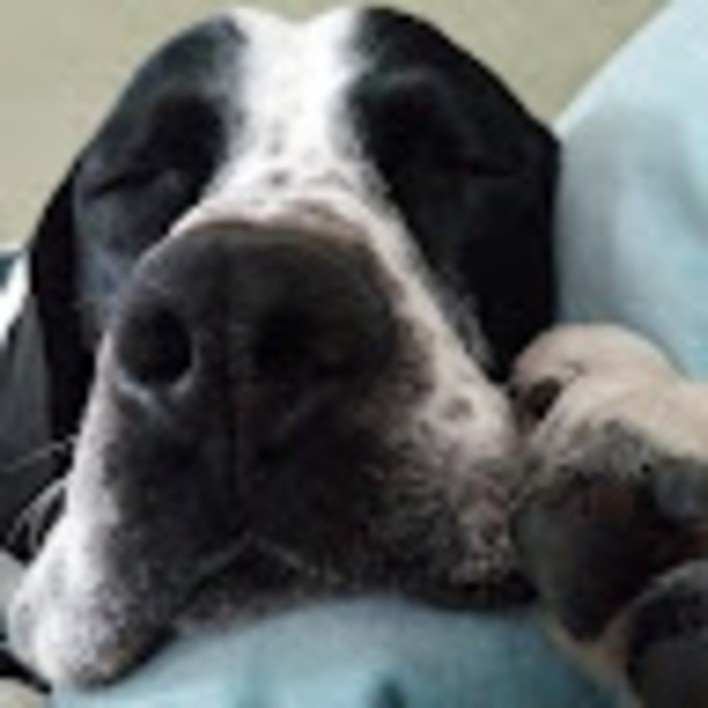 Meet your Posher, Mikaela